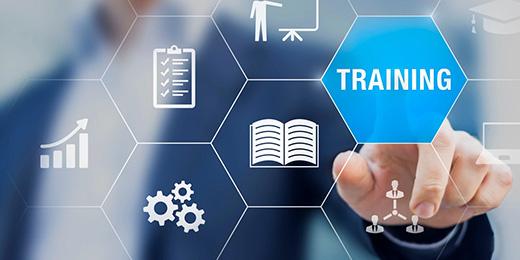 الدورات التدريبية وورش العمل